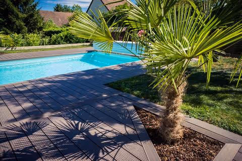 Piscine extérieure ensoleillée avec plages et palmier
